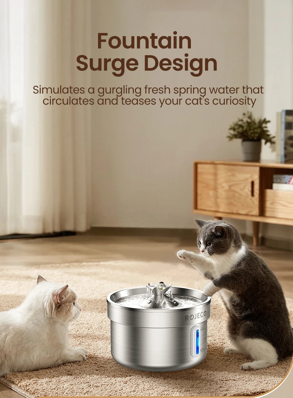 Deux chats attirés par l'eau qui coule de la fontaine