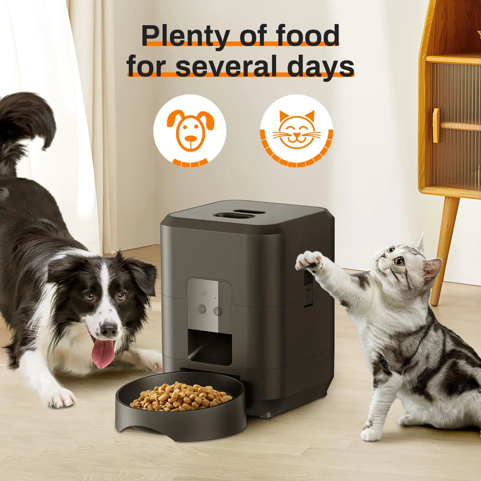 Un chien et un chat autour du distributeur de croquettes