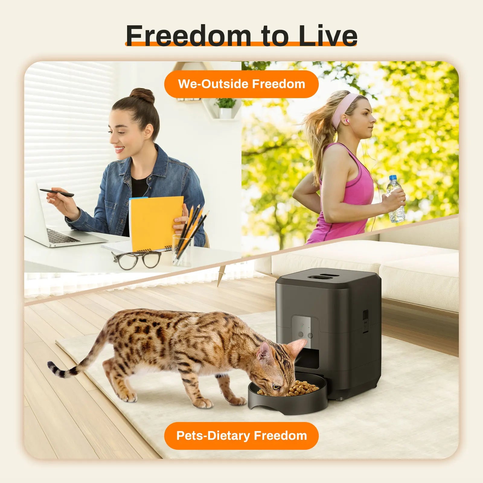 Le distributeur nourrit votre chat pendant votre absence