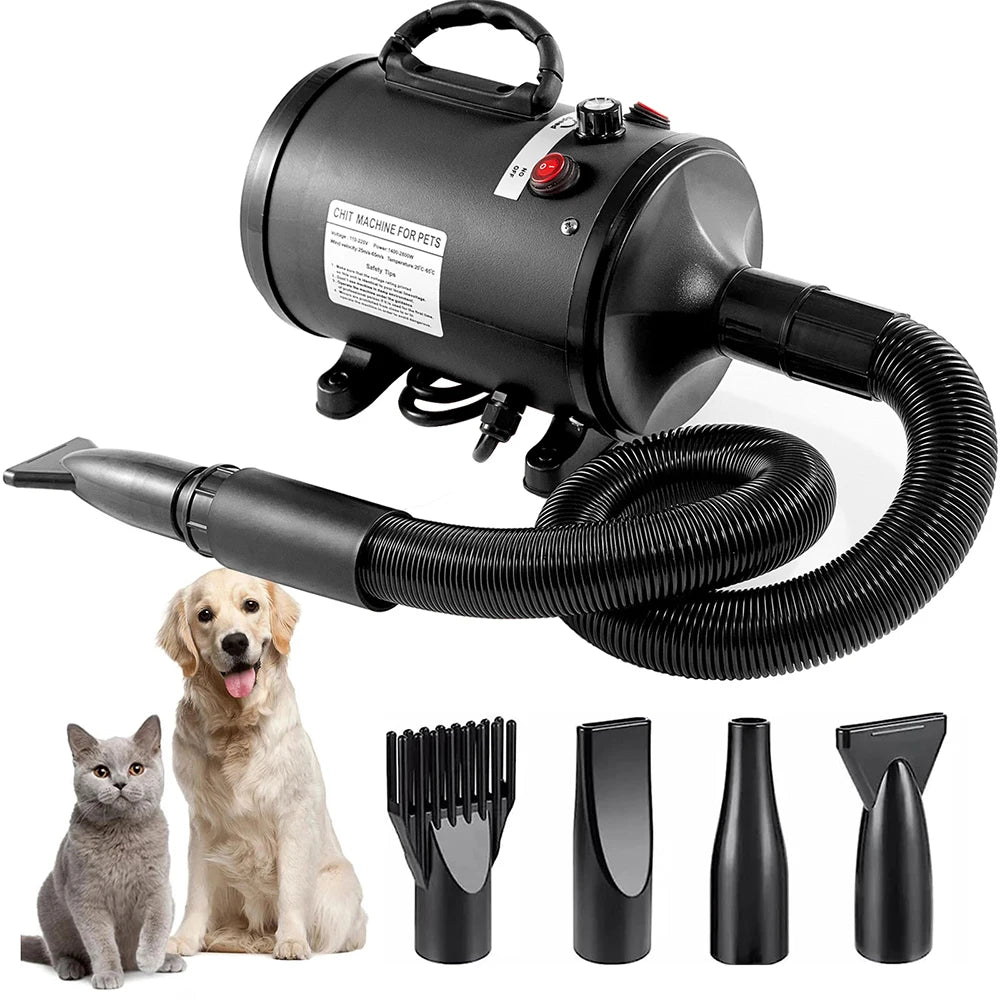 Pulseur pour chien 2 800 W avec tuyau et quatre embouts
